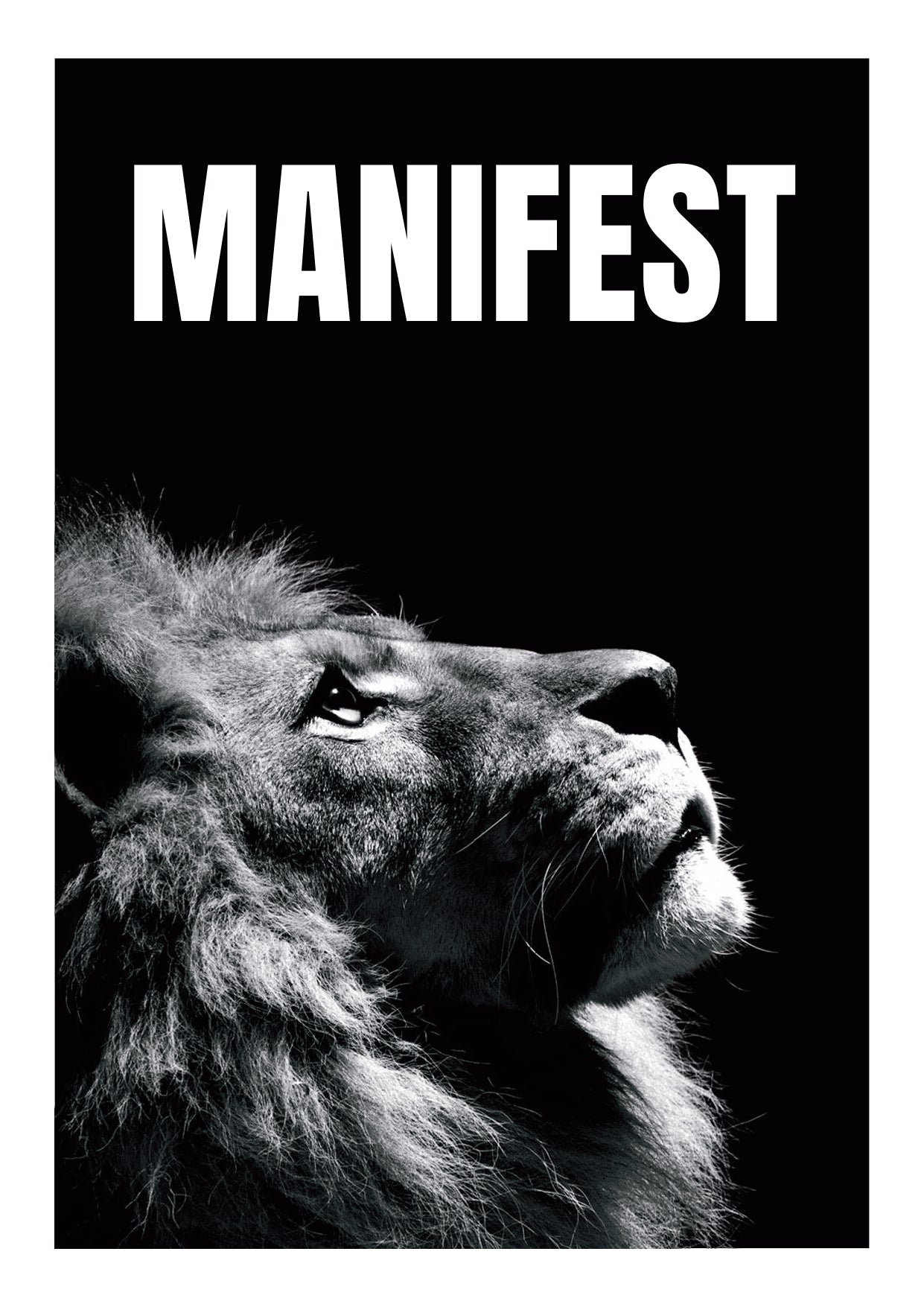 SET OF 12 POSTERS | MOTIVATION | UNFRAMED