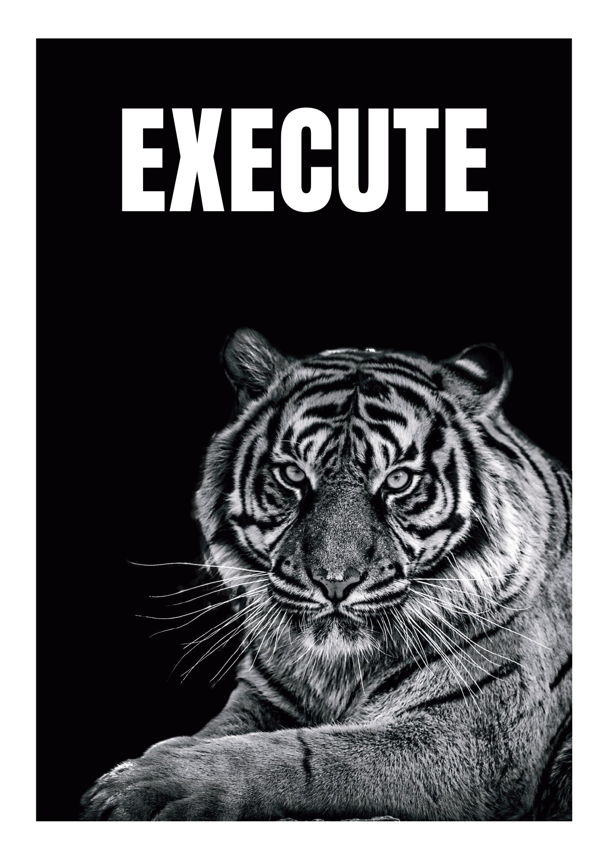 SET OF 12 POSTERS | MOTIVATION | UNFRAMED