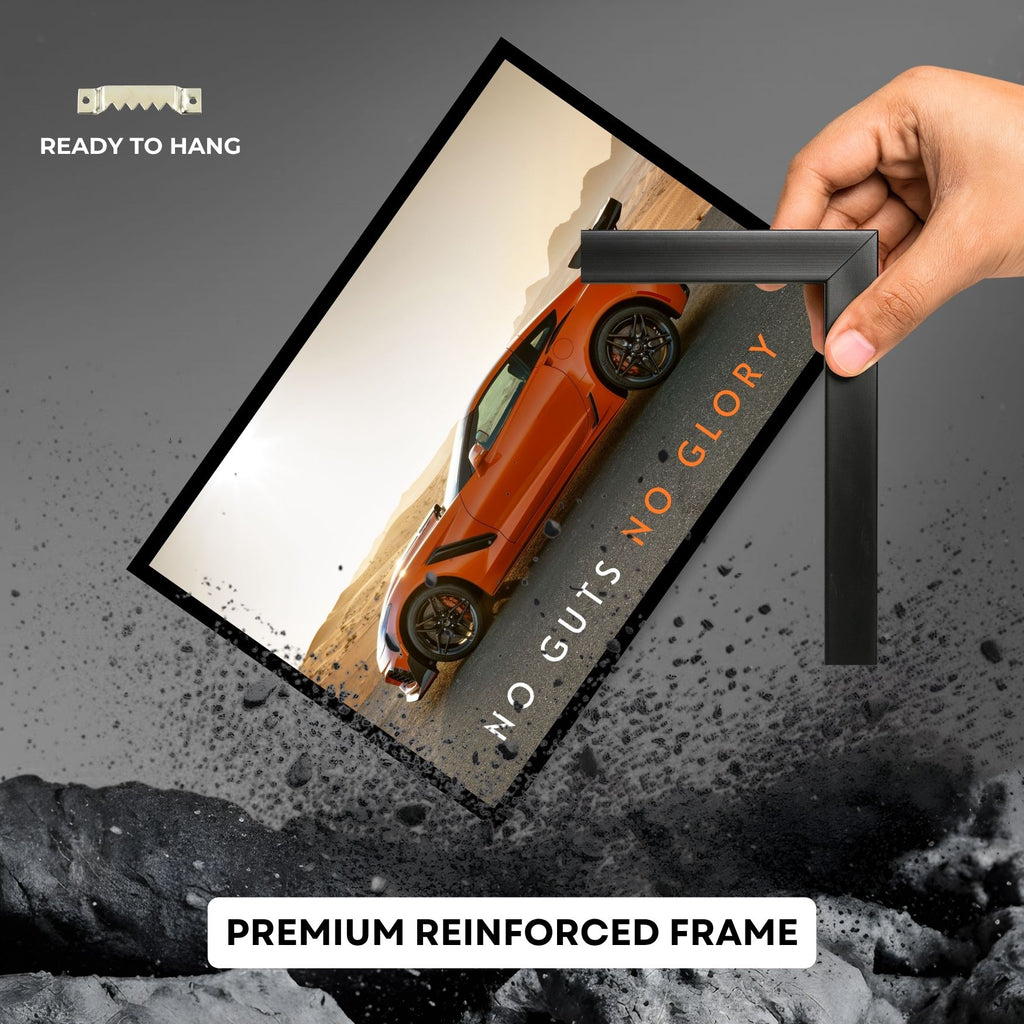 2019 Chevrolet Corvette ZR1 -  NO GUTS NO GLORY