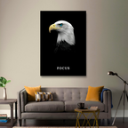 Focus - Eagle Blue-Eye Sentinel