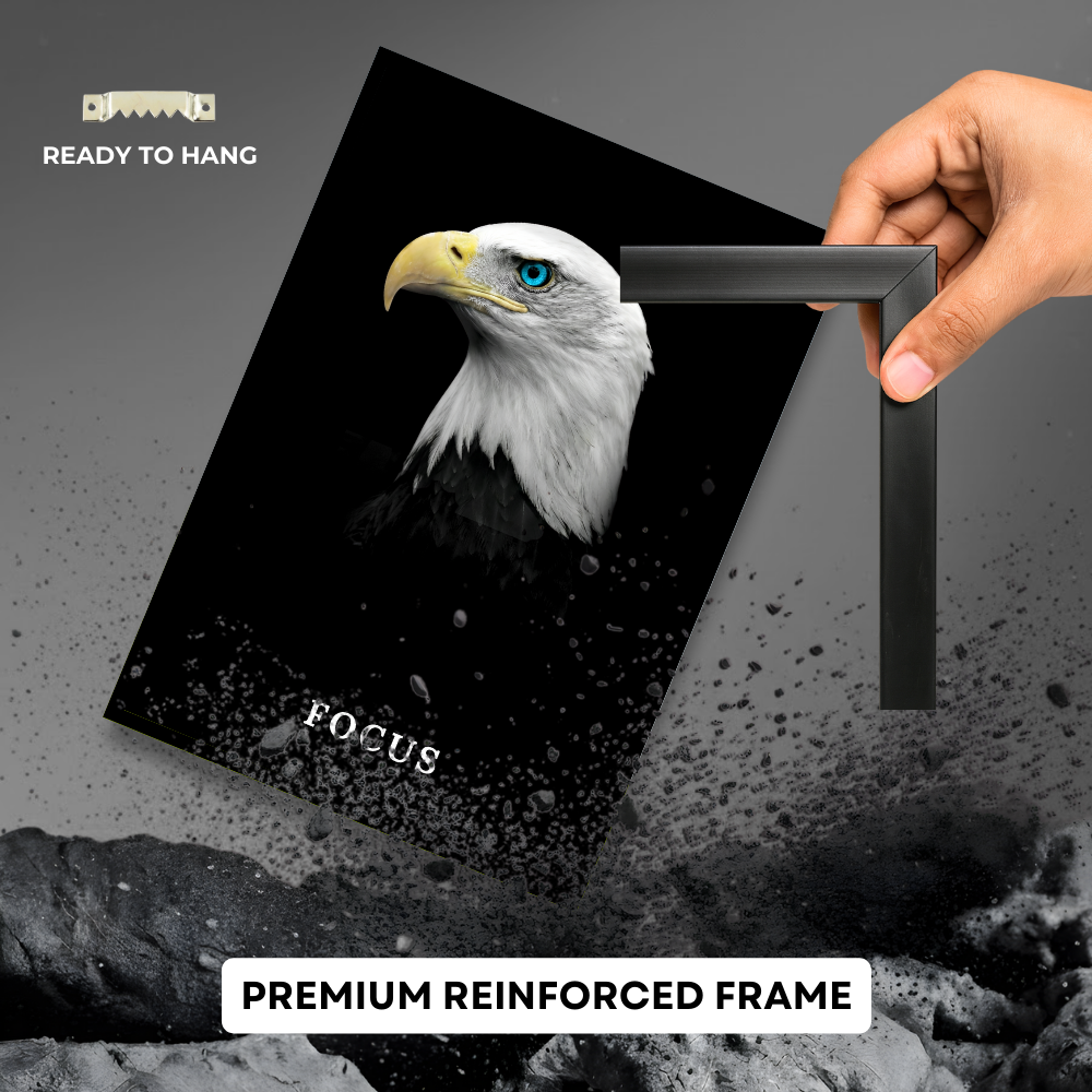 Focus - Eagle Blue-Eye Sentinel