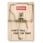 Focus Mouse Trap