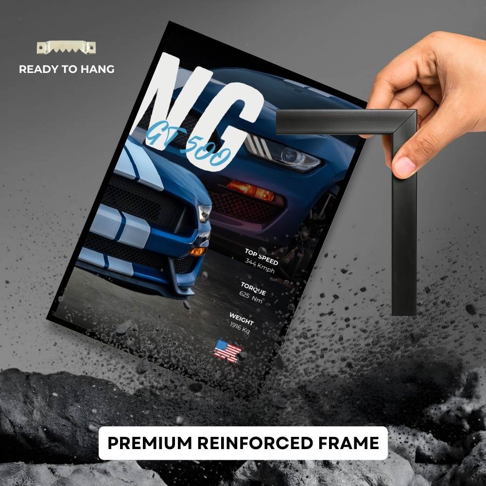 Trinity Ford Mustang GT500