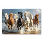 7 Horses in Symphony