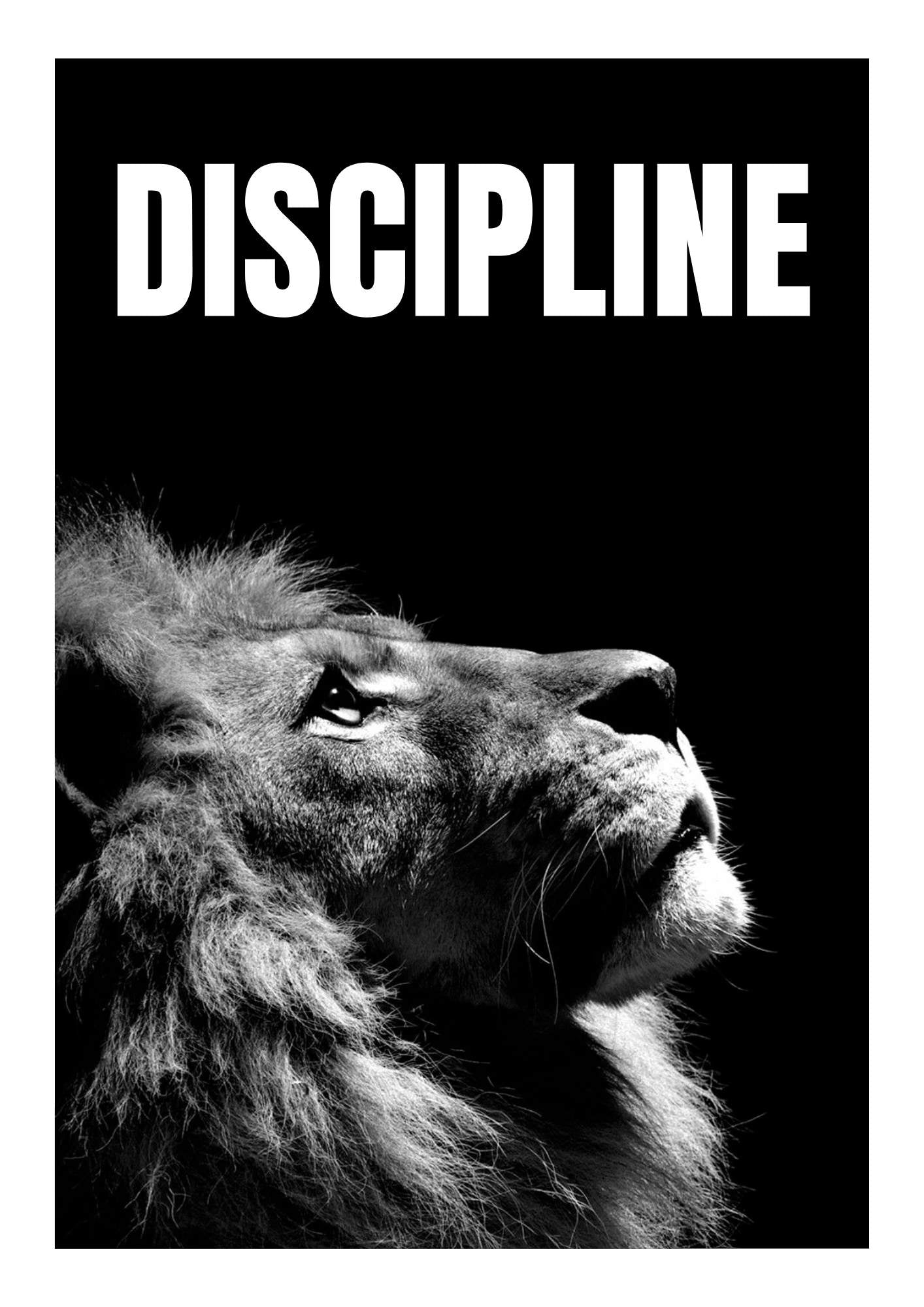 The Power Mindset | SET OF 3 FRAMES