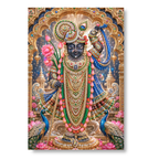 Shrinathji Krishna Grace