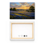Bluebonnet Valley Sunset