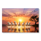 7 Horses in Sunrise