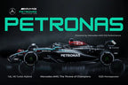 F1 CARS SET OF 10 POSTERS | UNFRAMED