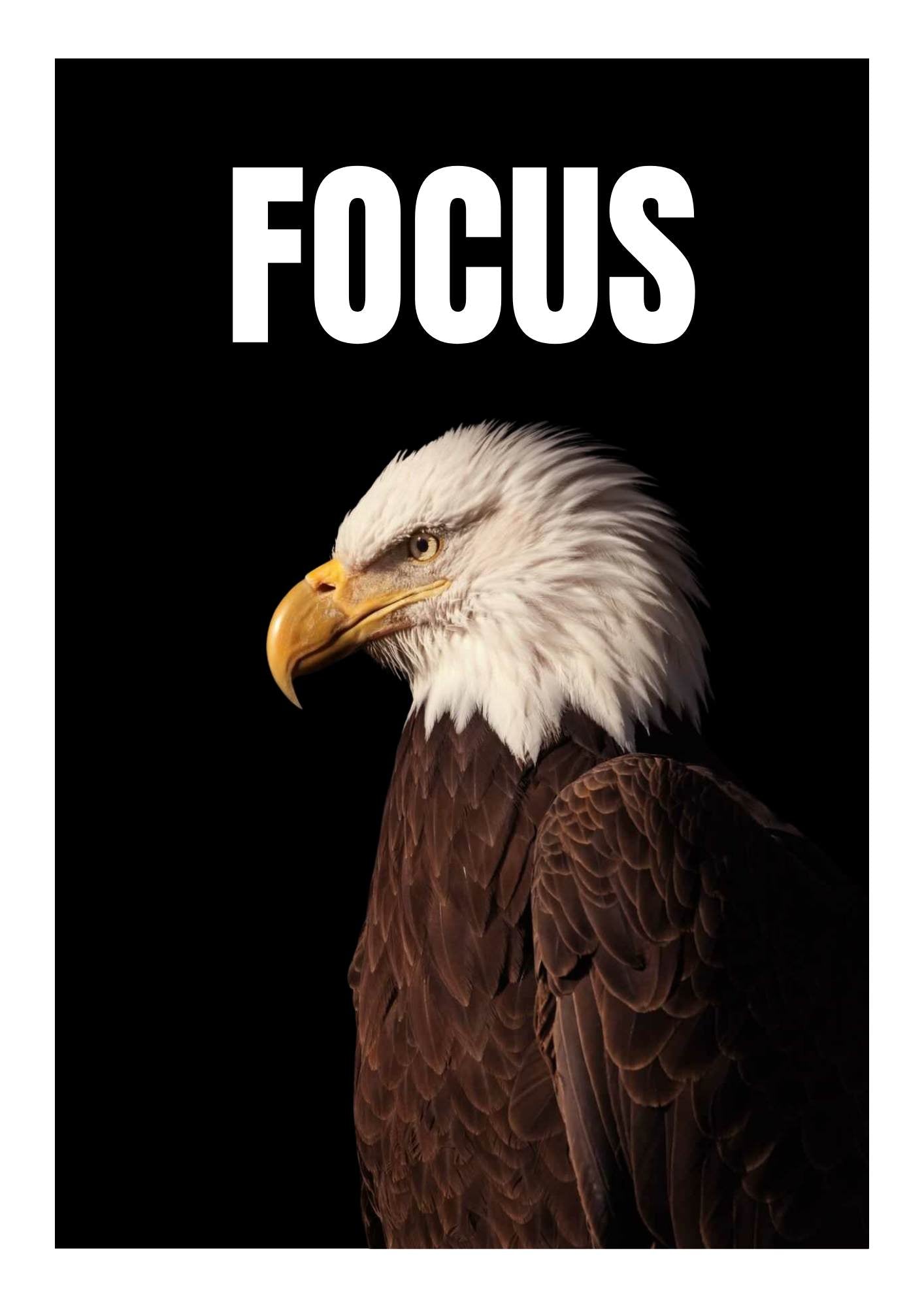 FOCUS – Eagle framed wall art