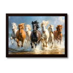 7 Horses in Symphony