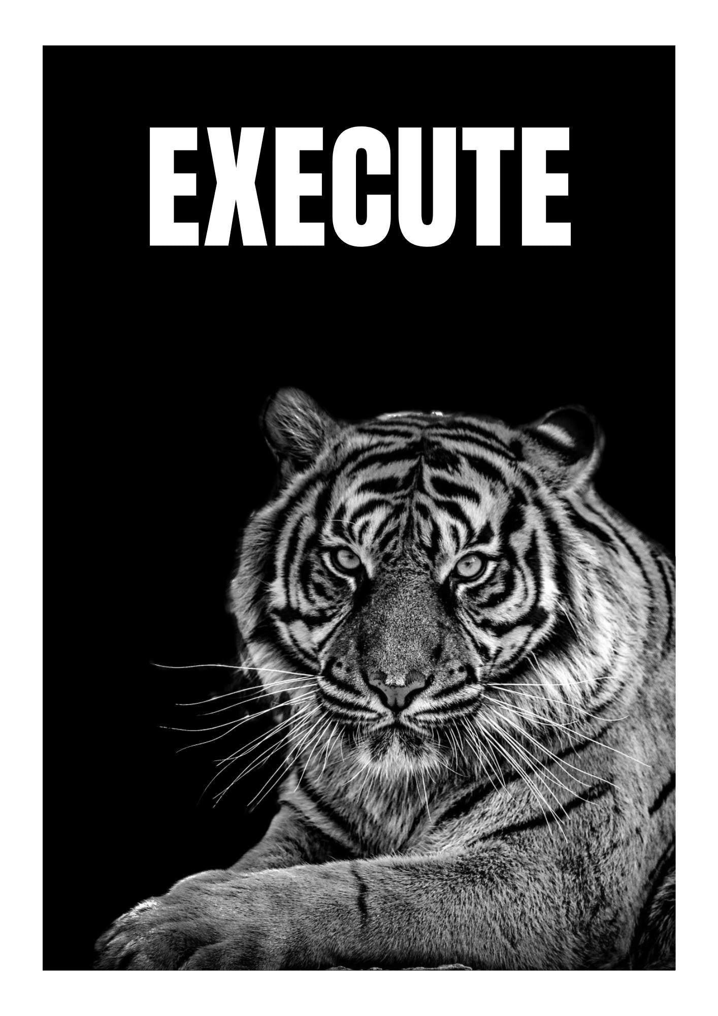 EXECUTE – Bold Tiger Motivation Wall Art