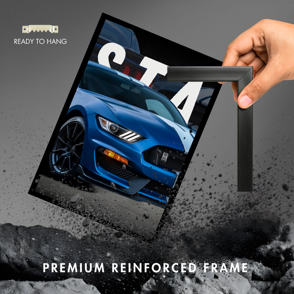 Trinity Ford Mustang GT500