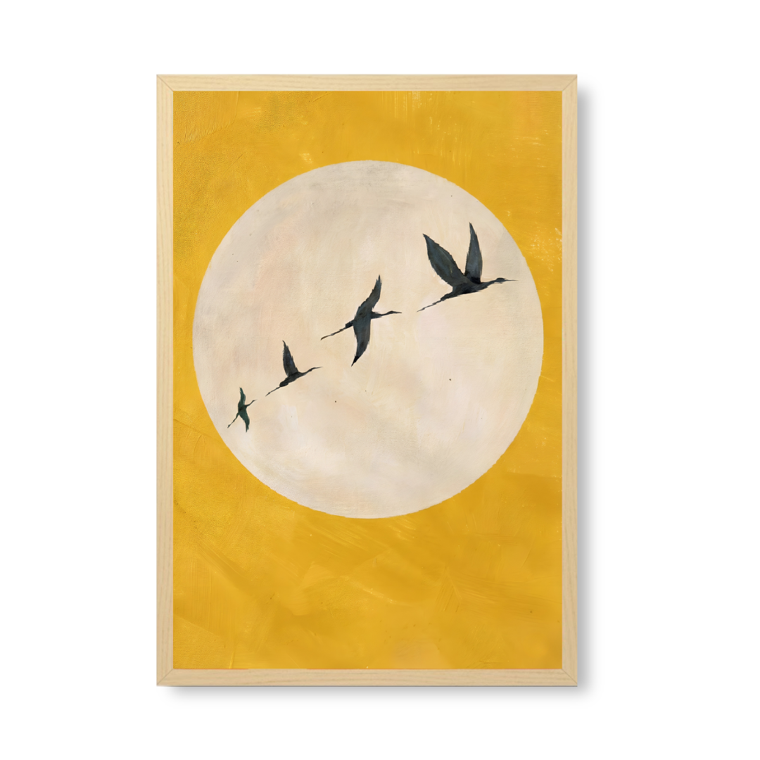 Lunar Flight Path