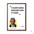 Nelson Mandela Legacy