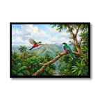 Tropical Trogon Flight