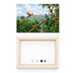 Tropical Trogon Flight