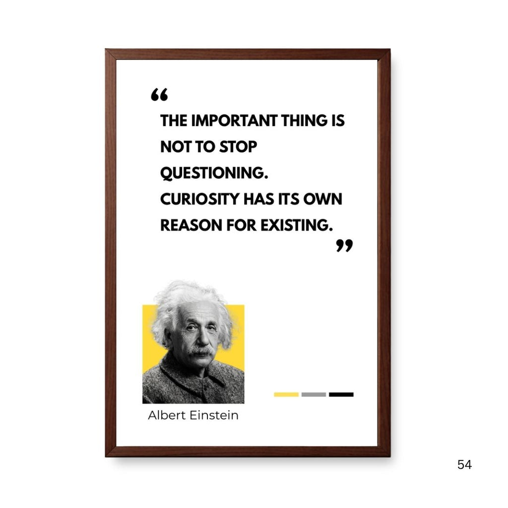 Albert Einstein Curiosity