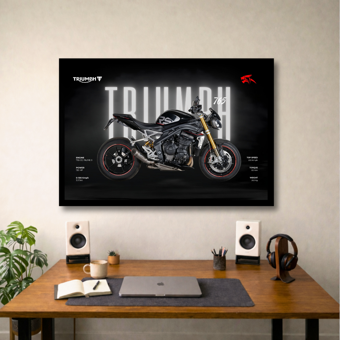 Triumph Stealth 765