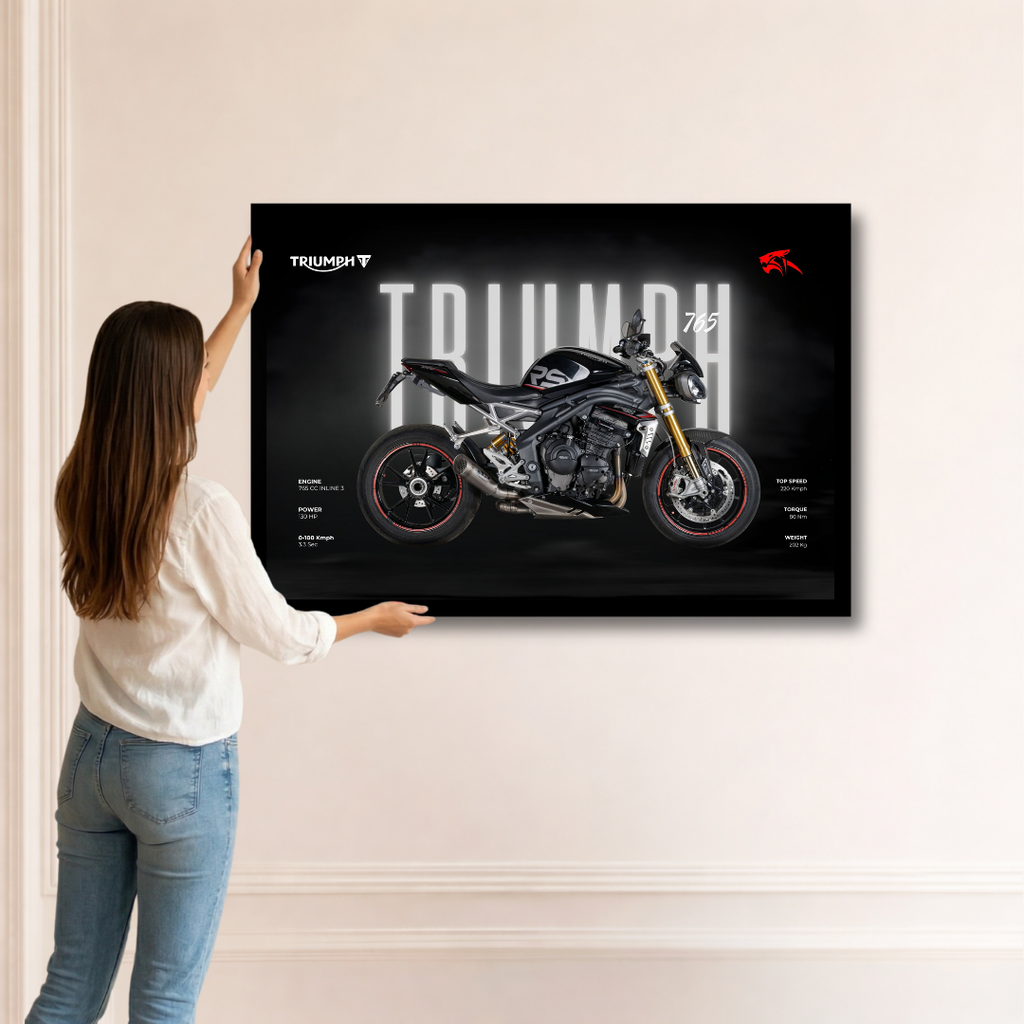 Triumph Stealth 765