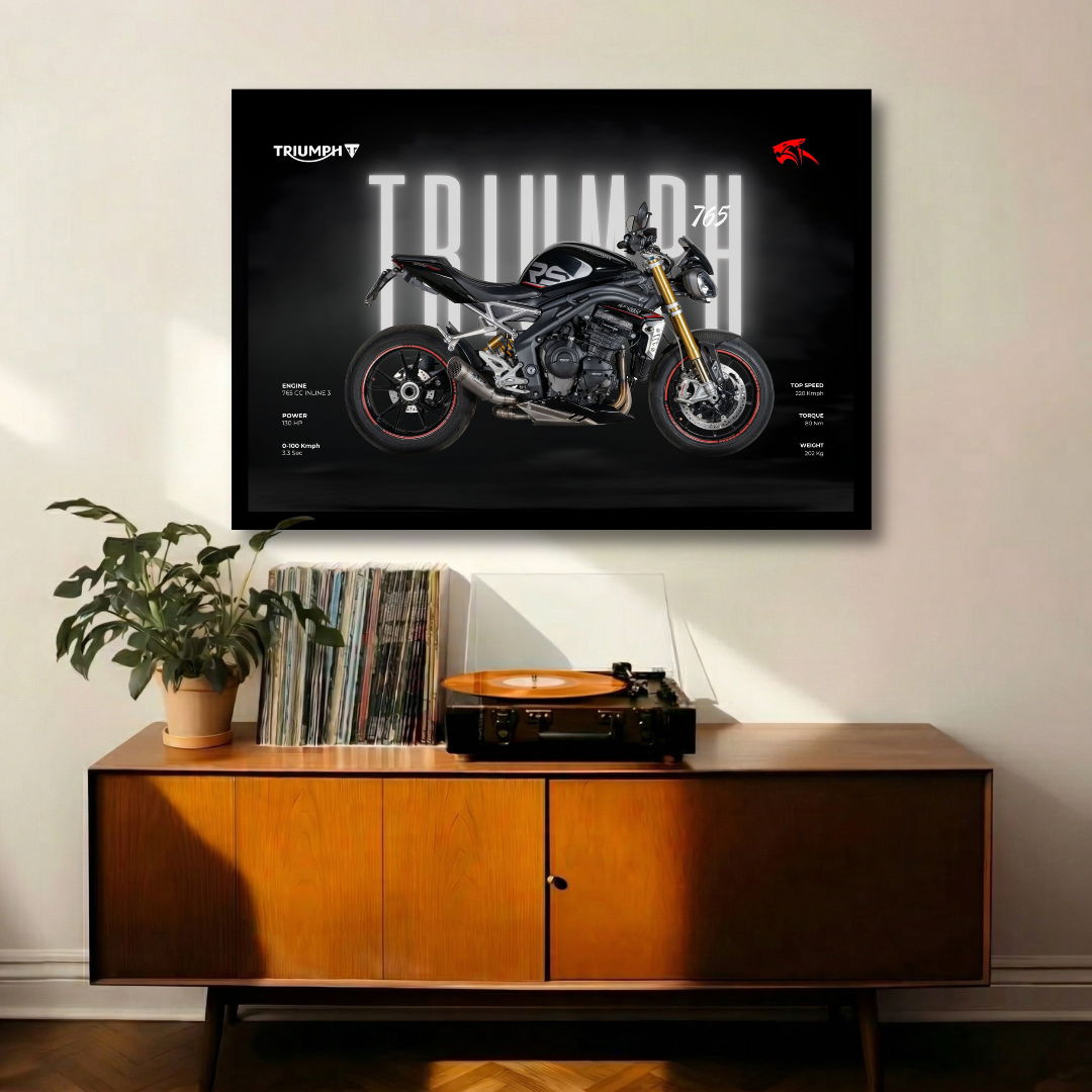 Triumph Stealth 765