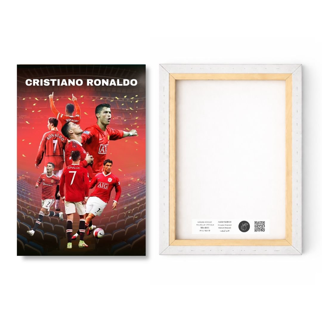 Ronaldo – The Red Devil Legend