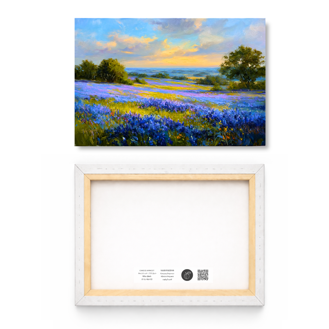 Bluebonnet Valley Sunset