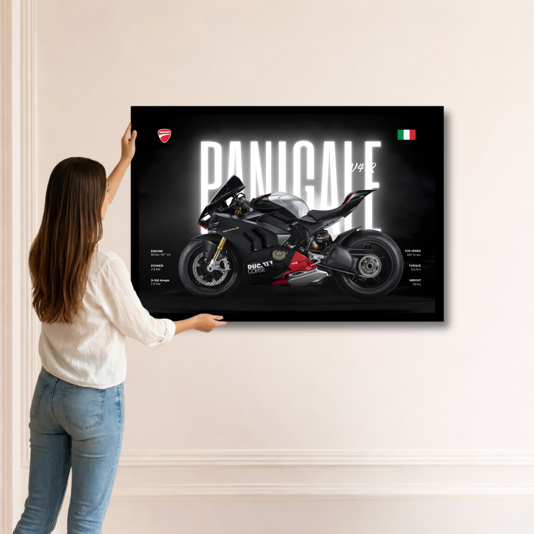 Ducati Shadow Panigale
