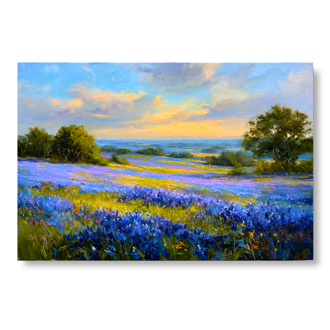 Bluebonnet Valley Sunset