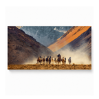 Mountain Caravan Desert Adventure
