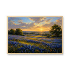 Bluebonnet Valley Sunset