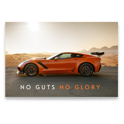 2019 Chevrolet Corvette ZR1 -  NO GUTS NO GLORY