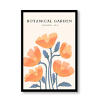 Floral Collection No. 55 Botanical Garden