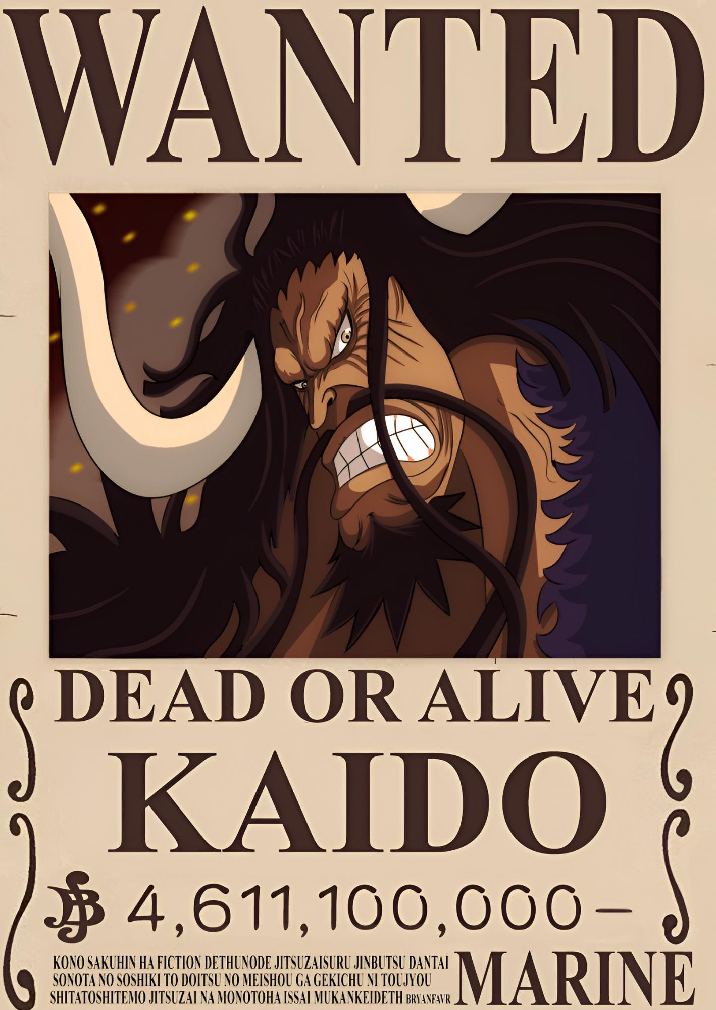 Wanted Legacy Kaido: One Piece