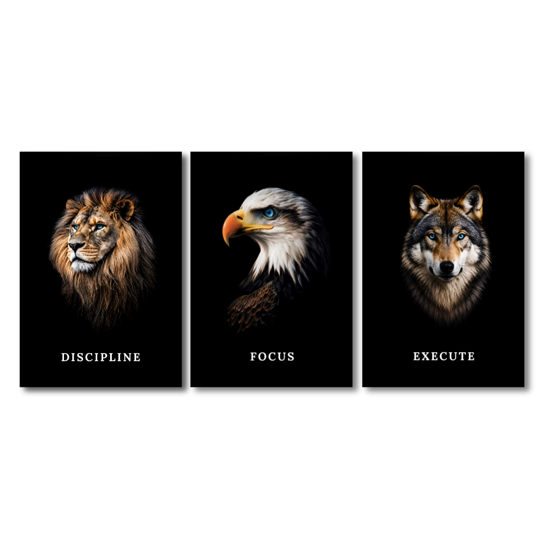 Discipline Focus Execute Trio