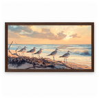 Coastal Birds Sunset Beach