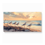 Coastal Birds Sunset Beach