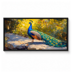 Royal Peacock Golden Garden