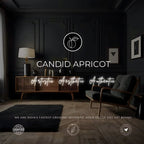 Ford Mustang Shelby GT500 – The King of Mustangs