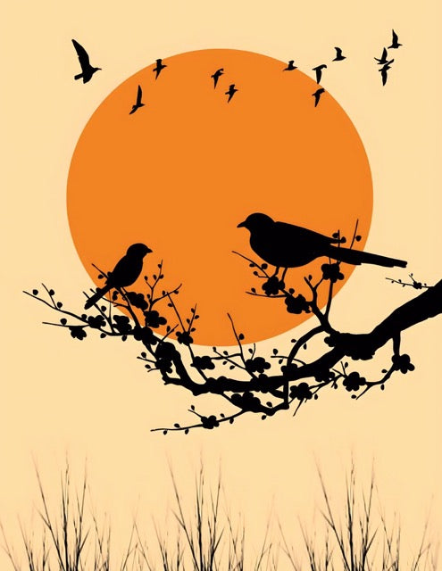 Quirky & Eclectic Co. | SET OF 15 POSTERS | UNFRAMED