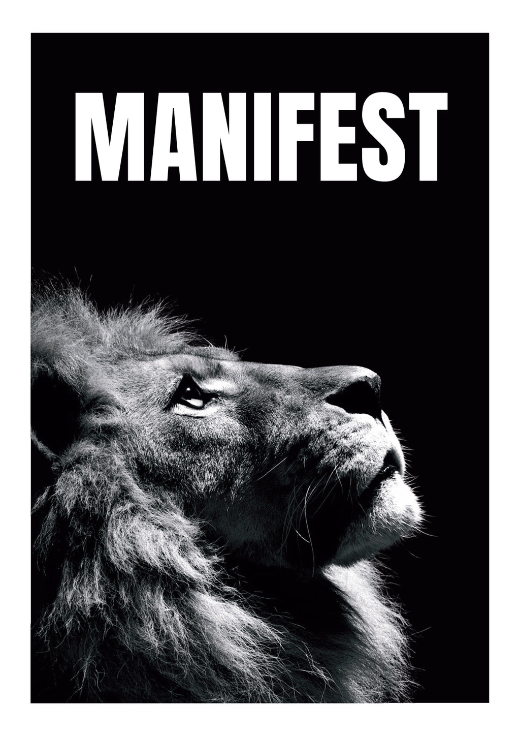 SET OF 10 POSTERS | MOTIVATION | UNFRAMED