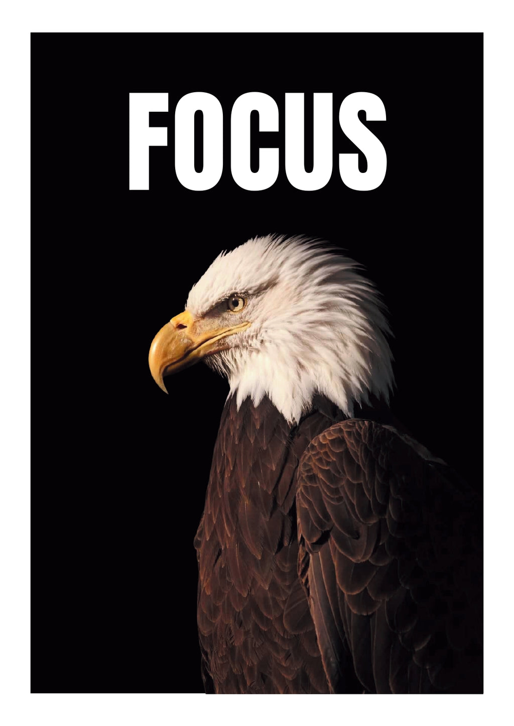 SET OF 10 POSTERS | MOTIVATION | UNFRAMED