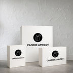 Abstract Autumn Arbor