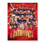RCB Poster Set | Set of 4 | With Adhesive |